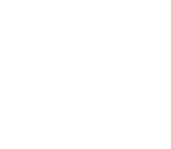 Aerial Arts Academy