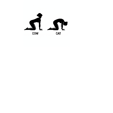 Cat-cow stretch